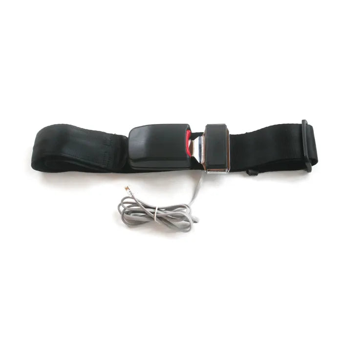 Fall Monitoring Seatbelts